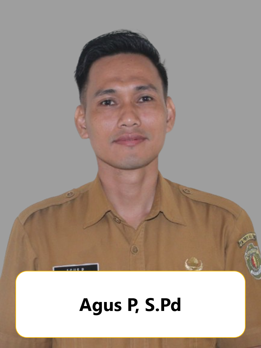 Agus P