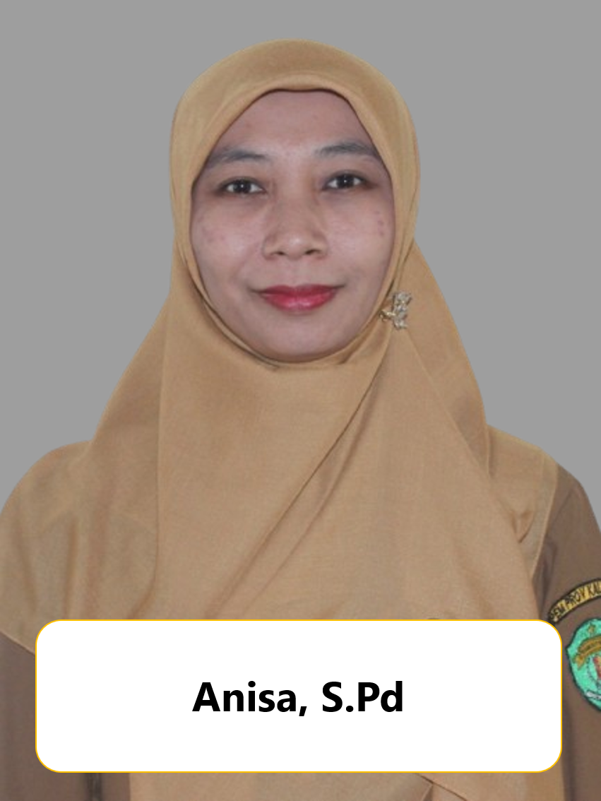 Anisa
